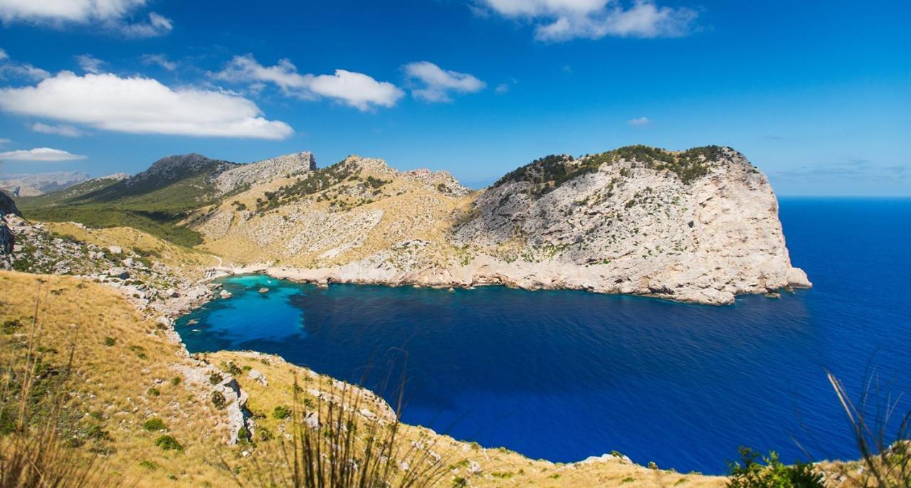 Seafront Ap Acuario Daire Port de Pollença Dış mekan fotoğraf